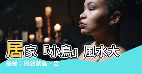 扇子 風水|【扇子風水】扇子風水：揭秘居家擺放扇子的秘密，助你提升運勢。